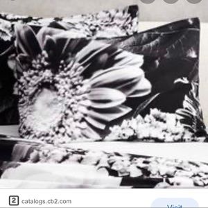 CB2 Black Flora standard pillow sham set (2)